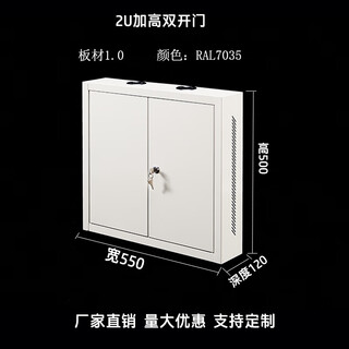 2u3u wall-mounted cabinet 4u6u small wall-mounted network cabinet 9u router switch power amplifier weak current electrical cabinet 2u double door 550*600*120 board 1.0