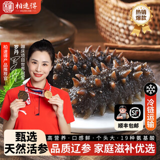 即食海参 即食大连刺参单个装辽刺参海参干货水产礼盒净含量500g 大连即食海参20-30头/斤 一斤【尝鲜装】