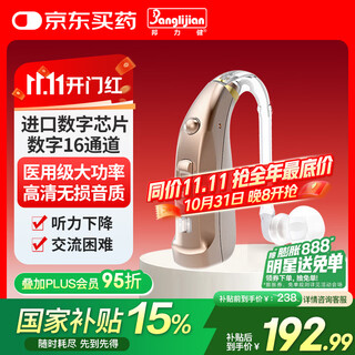 Banglijian behind-the-ear digital hearing aid for the elderly 16-channel wdrc invisible behind-the-ear rechargeable c-109h for moderate to severe hearing loss