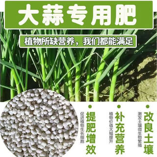 Nuevo tipo de fertilizante especial para un fuerte crecimiento del ajo. resiste enfermedades y alojamiento, promueve raíces fuertes y plántulas fuertes. previene puntas secas y hojas amarillas. previene enfermedades y hojas verdes para promover el crecimiento. abono especial para ajos. 5jin jin es igual a 0,5 kg.
