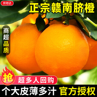 Jingdida orange gannan navel orange authentic jiangxi ganzhou straight hair net weight 18 jin jin is equal to 0.5 kg single fruit 350g straight hair from the source