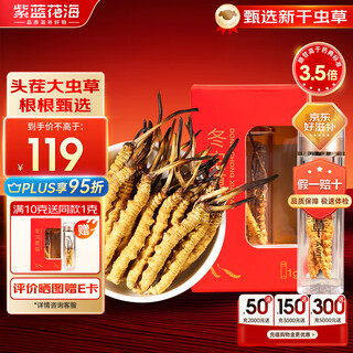 紫蓝花海冬虫夏草 头茬新干虫草滋补品过节送礼滋补礼盒 5根/1克【试用装】