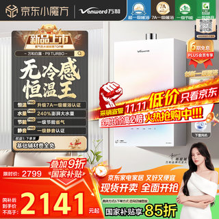 Vanward bailu p9 turbo 7a first-level warm bath without cold feeling 16 liters lower fan gas water heater natural gas 240% supercharged and silent national subsidy 15%