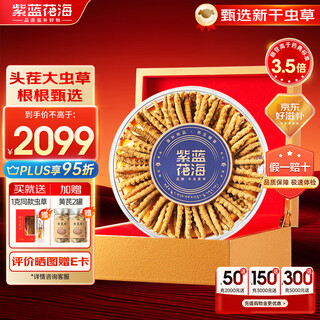 紫蓝花海冬虫夏草 头茬新干虫草滋补品过节送礼滋补礼盒 2-3条/g 20克【甄选品质】