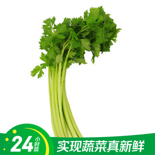 24 hours vegetable parsley about 300g