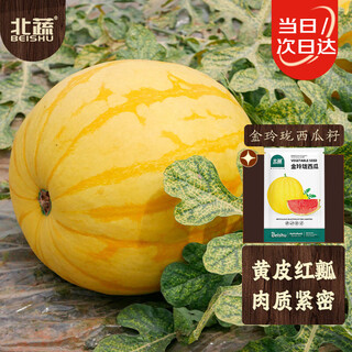 Beishu jinlinglong watermelon seeds seedlings yellow skin red flesh watermelon fruit seeds jinlinglong watermelon seeds about 20 pieces