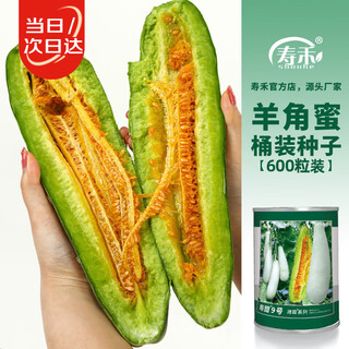 Shouhe croissant honey seed seedlings crispy sweet fruit melon seeds weiyu shouting no. 9 croissant honey seeds 600 capsules in a barrel