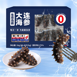 Century-old fishing port dalian frozen ready-to-eat sea cucumber 1kg, 30-40 pieces in total, liao sea cucumber gift box