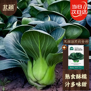 Beishu suzhou green vegetable seeds black leaf dwarf cold-resistant sweet waxy rapeseed vegetable seeds black shuo 18 suzhou green seeds 10g