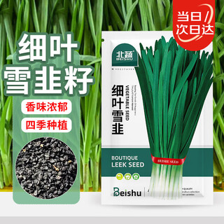 Beishu fine-leaf leek seeds old variety small leaf family balcony four-season vegetable seeds fine-leaf snow leek seeds 40g