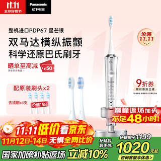Panasonic electric toothbrush imported dual motors horizontal and vertical sweep vibration suspension charging deep seam adult couple gift box birthday gift for men's girlfriend pdp67 silver state subsidy
