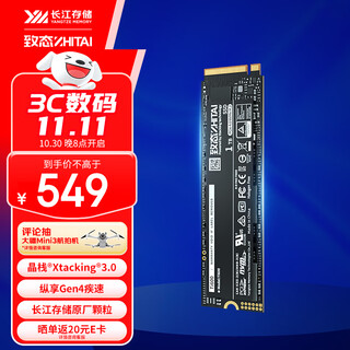 致态（ZhiTai）长江存储 1TB SSD固态硬盘 NVMe M.2接口 Ti600系列 (PCIe 4.0 产品)