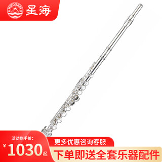Xinghai flute instrument c key 16 key closed hole tune e key beginners entry-level flute exam performance entry-level model yh-121
