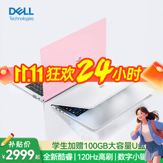 Dell (dell) laptop inspiron 15pro 3530 15.6-inch pink 13th generation core thin and light notebook business office student home all-round ultrabook laptop inspiron 15pro thin and light notebook 15.6 inches best-selling six-core core