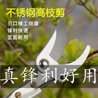 German high-branch shears for gardening, high-altitude pruning branches, special scissors for picking loquat fruits, telescopic pole pruning shears, 1.5 meters stainless steel