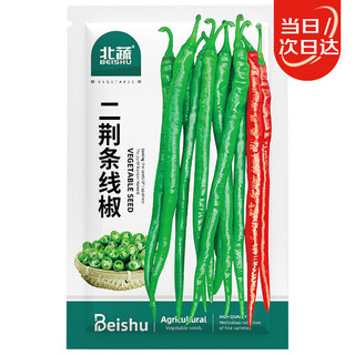 Beishu erjingtiao pepper seeds seedlings extra spicy super long line pepper vegetable seeds erjingtiao line pepper seeds 100 capsules