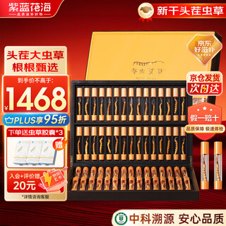 紫蓝花海冬虫夏草 4-5根/g 60根 新干虫草冬虫草送长辈滋补品【健康礼盒】