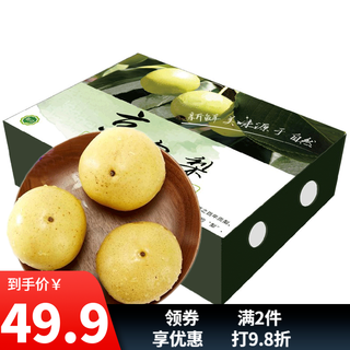 趣觅鲜京白白梨北京门头沟特产京西贡梨软吃白梨子绵软多汁新鲜水果 5斤带箱大果18-20个