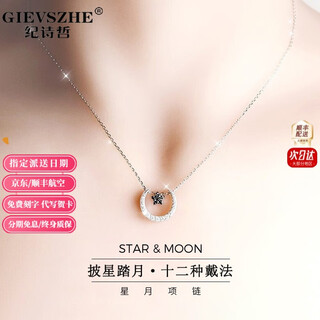 Ji shizhe (gievszhe) pt950 platinum platinum necklace women's color gold clavicle chain fashion birthday valentine's day gift for girlfriend and wife platinum style - platinum necklace + star and moon pendant
