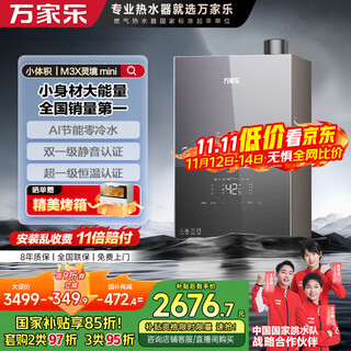 Macro small volume series lingjing mini 16 liters gas water heater natural gas zero cold water first level silent national subsidy 15% trade-in jsq30-16m3x