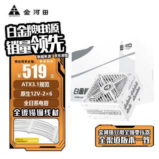 金河田（Golden field）白金牌A+850W电脑电源台式机全模组额定850W静音电源全日系电容/白金认证/压纹线 白金牌A+850W 白【ATX3.1/压纹全模组】
