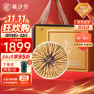 Zangxitang cordyceps sinensis 3 roots/g 20g 60 pieces high altitude dried cordyceps first crop cordyceps gift box