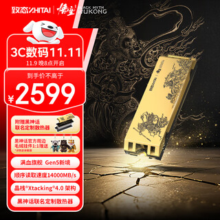 致态（ZhiTai）长江存储 4TB SSD固态硬盘 NVMe M.2接口 TiPro9000 系列《黑神话：悟空》联名版 (PCIe 5.0 产品)