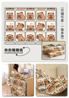 Wing fantasy 2025 nap blanket, universal for all seasons, single coral velvet, office dormitory sofa, milk velvet, cute capybara, can be spread or covered, universal for all seasons, 1.0x1.5m shawl blanket, air-conditioned room cover