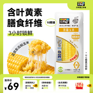 47 degrees north latitude yellow waxy corn 4.8jin jin equal to 0.5kg (240g*10) northeastern sweet sticky fresh corn on the cob vacuum packed breakfast corn