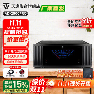 天逸（Winner）AD-2500PRO家庭影院 高保真纯后级2.0声道立体声功放机 黑色AD-2500PRO