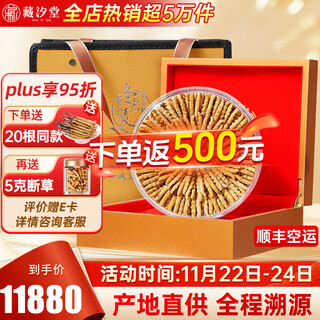 藏汐堂冬虫夏草 高海拔新干虫草礼盒装干货冬虫草头期 4根/g 100克【滋补量装】