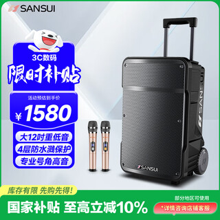 Sansui outdoor karaoke rod audio high-power heavy bass square dance audio portable smart speaker with microphone 12-inch a12 electric acoustic guitar folk instrument speaker