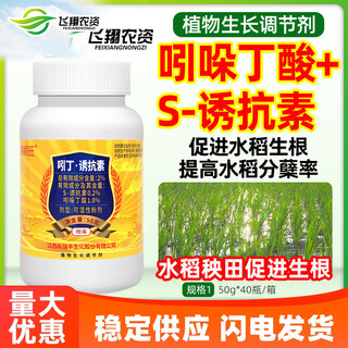 Xinruifeng miaogenwang 2% indolebutyric acid s-induced antibiotic rice seedling field promotes rooting and tillering growth regulator 50g