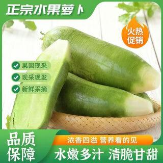 Straight from the source shandong freshly pulled pureed fruit radish, seasonal crispy and sweet fruits, green radish and vegetables, single fruit 250g+ 5 jin jin equals 0.5 kg, net weight 4.5 jin jin equals 0.5 kg