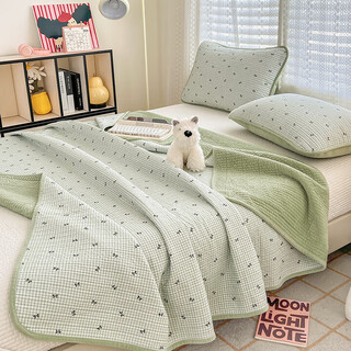 Xushansi's new one side pure cotton one side velvet bed cover double-sided winter tatami baby velvet sheets plus velvet milk velvet four seasons small green grid-green 150cm*200cm bed cover single piece