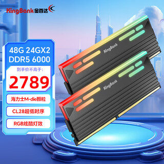 金百达（KINGBANK）DDR5内存 白刃/星刃 RGB灯条 6000/6400/6800高频内存 神光同步灯条 适配黑神话悟空 Deepseek硬件 星刃48G(24G*2)6000RGB套条C2