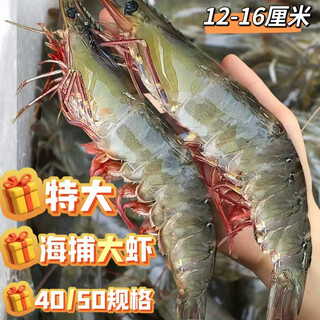 Jiang qigong fresh sea-caught extra large white shrimp ecuadorian white shrimp frozen seafood fresh with ice three jin jin is equal to 0.5 kg packed three jin jin is equal to 0.5 kg packed large white shrimp 12-16 cm