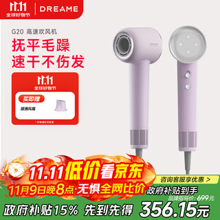 Chasing time g20 home hair dryer constant temperature quick drying hair dryer negative ion high speed hair care leafless hair dryer gift gift lilac purple ahd12b