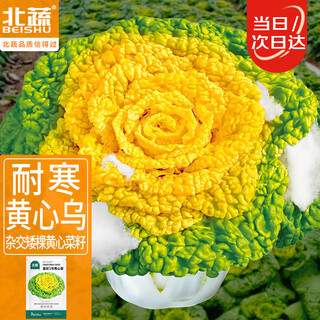 Beishu huangxinwu seeds yellow heart cream wutaicai vegetable seeds huangxin no. 1 huangxincai seeds 20g about 10,000 tablets