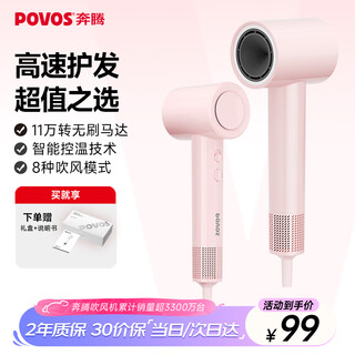 Pentium (povos) p7 high-speed hair dryer barrel for home student dormitory negative ion high-power quick-drying low noise ph7001 mousse powder as a birthday gift for girlfriend, wife, lover, national subsidy