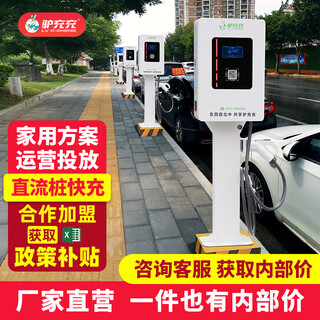Lvchongchong new energy electric vehicle charging pile dc fast charging 380v 20kw/30kw/40kw high power commercial charging station 20kw column type (1zd20-3-b)