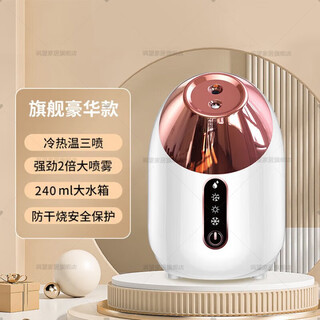 Sawang german facial steamer hot and cold dual spray facial steamer hot spray household steam autumn and winter instrument facial sprayer beauty instrument hydrating and moisturizing beauty instrument facial steam beauty salon use luxury white - hot and cold temperature sensitive skin adaptation + fine care nano atomization