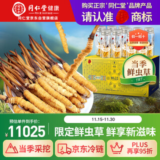 同仁堂（TRT）品牌 新鲜虫草1.01-1.3克/条100条装 青海源头直发包邮礼品送人