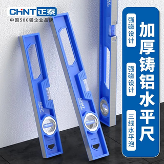 Chint level small level high-precision level ruler cast aluminum level solid strong magnetic level ruler 300mm - professional grade precision strong magnetic