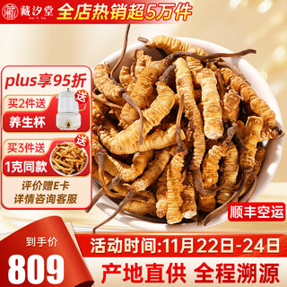 藏汐堂冬虫夏草 高海拔新干断草  送老人 实惠滋补营养品 10克【特大号断虫草】