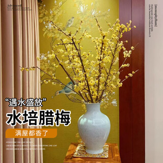 Linya wax plum flowers water-cultured fresh-cut flowers wax plum new year's eve flowers hydroponic plants with buds 80cm 12 branches straight from the source