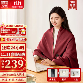 Seiki ishizaki electric heating blanket heating warming shawl usb washable leg covered shawl outdoor home office ancora red (1w mah power bank + gift bag type) 1