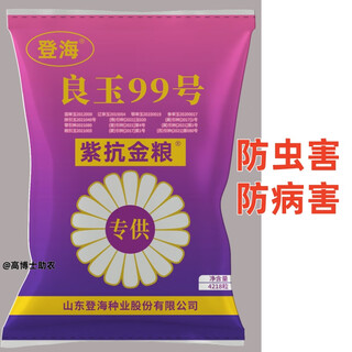 Nationally approved high-yielding corn varieties, insect-proof, disease-proof, drought-tolerant, waterlogging-resistant, purple-resistant, golden grain, good jade 99, one grain, capped and authentic, exclusive for 10 bags, get 2 bags free