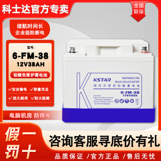 科士达蓄电池6-FM-17/24/38/65/100/120/150/200AH密封免维护蓄电池机柜机房UPS电源户外电源 6-FM-38 12V38AH