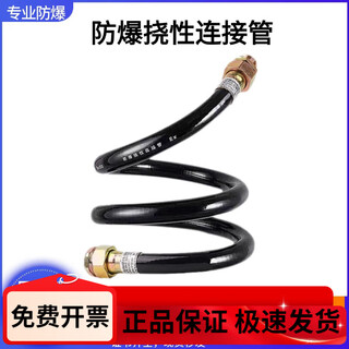 Explosion-proof flexible pipe g3/4 explosion-proof flexible connecting pipe 6 points disruptive pipe threading coiled pipe hose wiring steel wire braided metal 4 points dn15*300 one inside and one outside